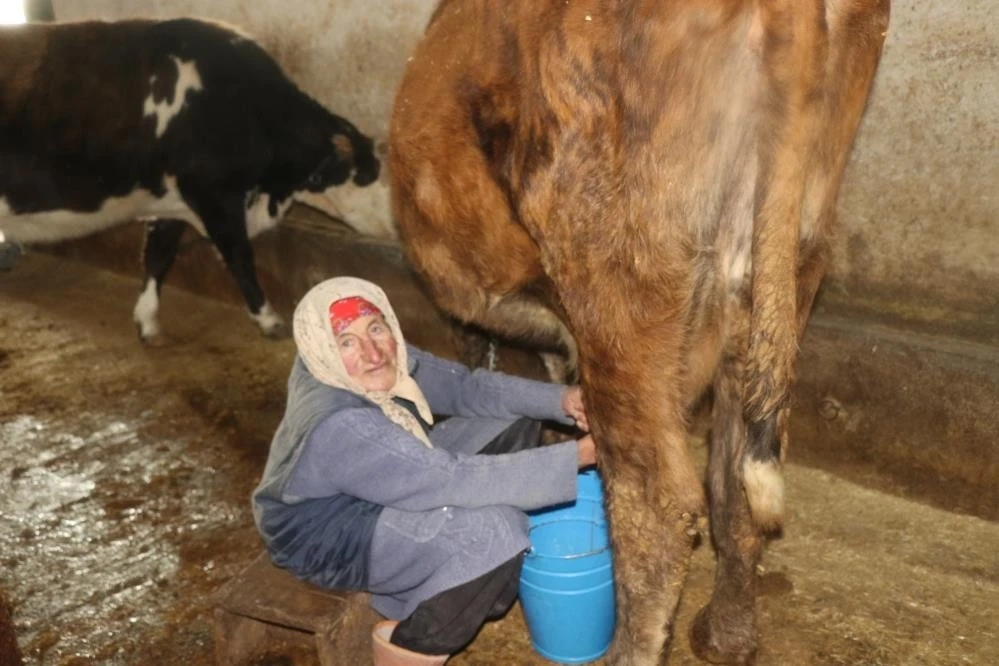 79 yaşındaki Dilber ninenin inanılmaz hayat mücadelesi görenlere ‘maşallah’ dedirtiyor