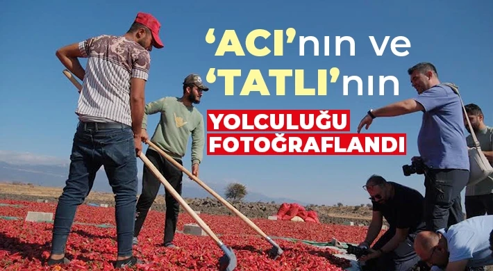 ‘ACI’nın ve ‘TATLI’nın yolculuğu fotoğraflandı