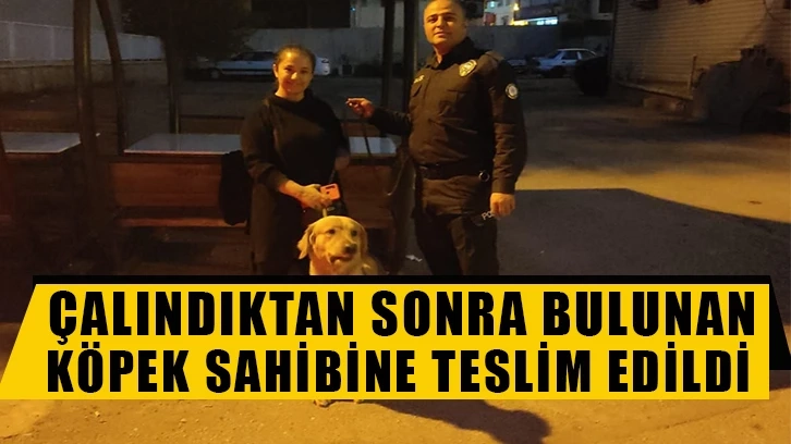 Çalındıktan sonra bulunan köpek sahibine teslim edildi