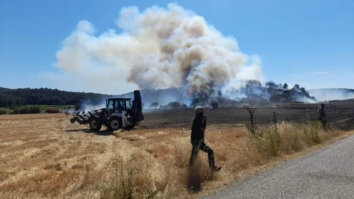 Çanakkale'de orman yangını