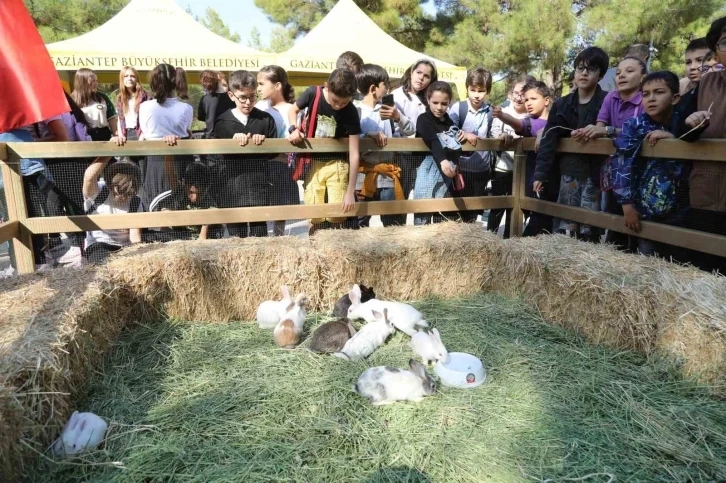 Gaziantep Büyükşehir, Dünya Hayvanları Koruma Günü’nde farkındalığa dikkat çekti