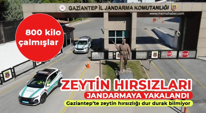 Gaziantep’te 800 Kilo Zeytin Çalan Hırsızlar Yakalandı