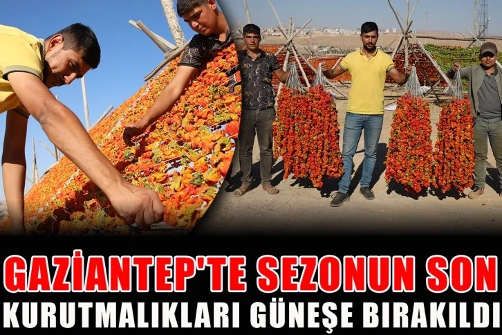 Gaziantep'te sezonun son kurutmalıkları güneşe bırakıldı