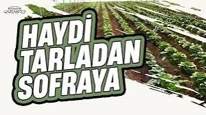 "Haydi Tarladan Sofraya Projesi Büyük İlgi Gördü: Şehir Genelinde Yaygınlaşacak"