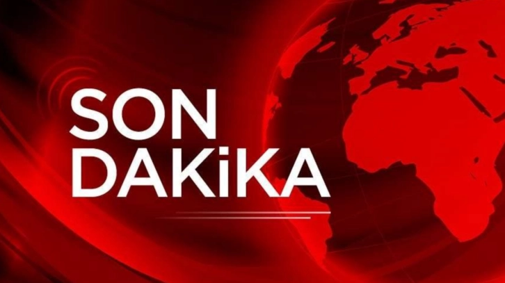 İncir ağacından düşen kadından acı haber!