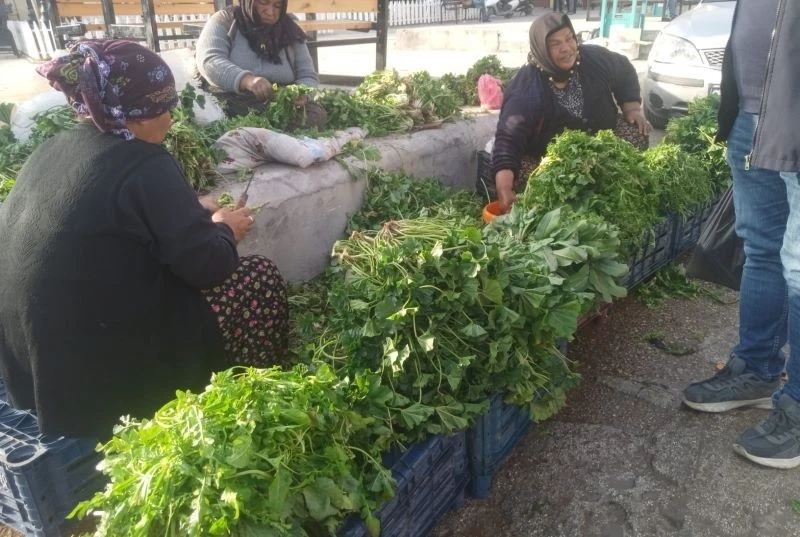 Kömeç sezonu erken açıldı