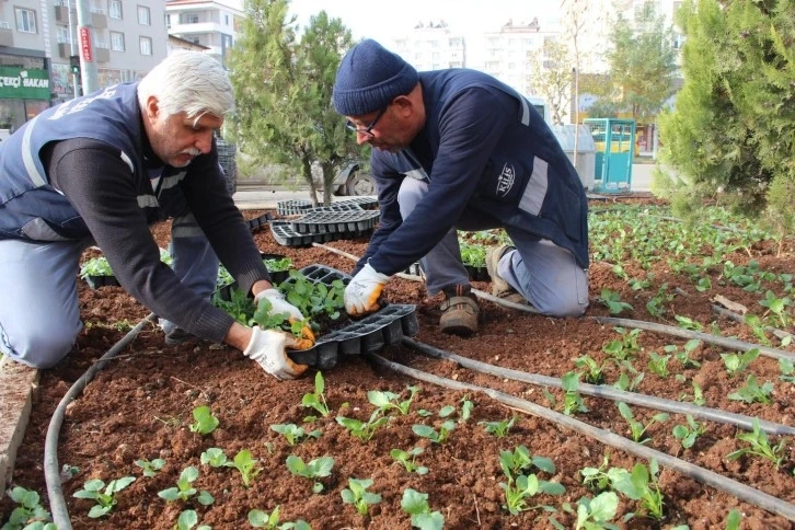 Refüjlere Kış Bakımı