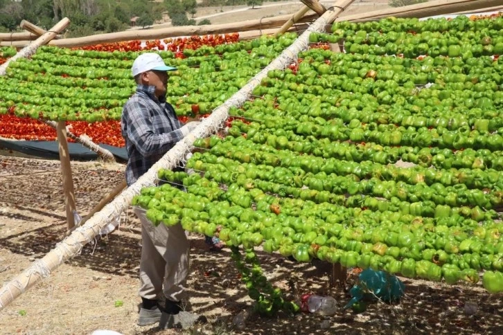 Yılın ilk kurutmalıkları güneşe bırakıldı