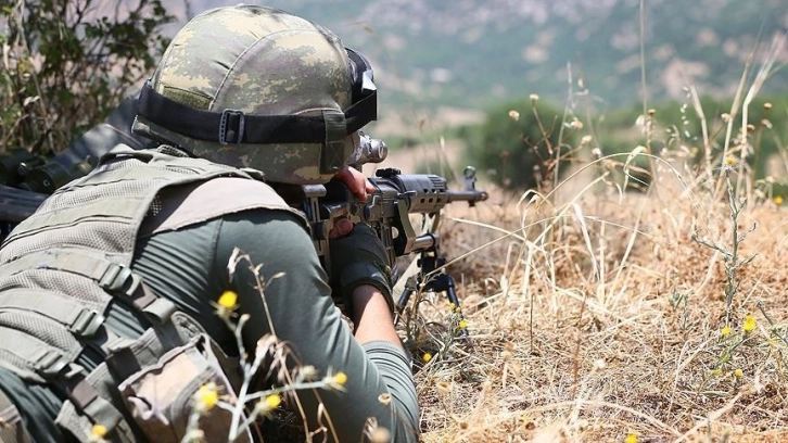 Zeytin Dalı ve Barış Pınarı harekatında önemli gelişme!