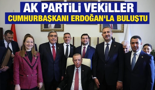 AK Partili vekiller, Cumhurbaşkanı Erdoğan'la buluştu