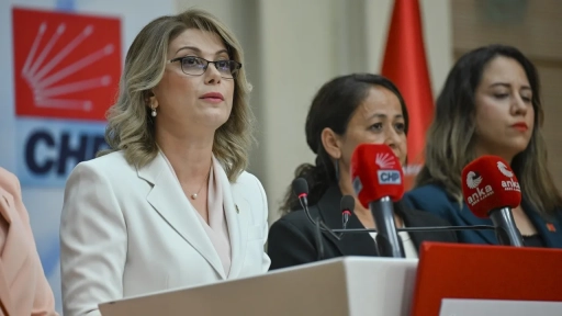 CHP Osmaniye Milletvekili ve CHP Kadın Kolları Genel Başkanı Asu Kaya’dan Aile ve Sosyal Hizmetler Bakanlığı’nın 2025 bütçesine tepki: