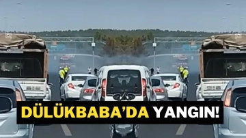 Dülükbaba ormanında yangın!