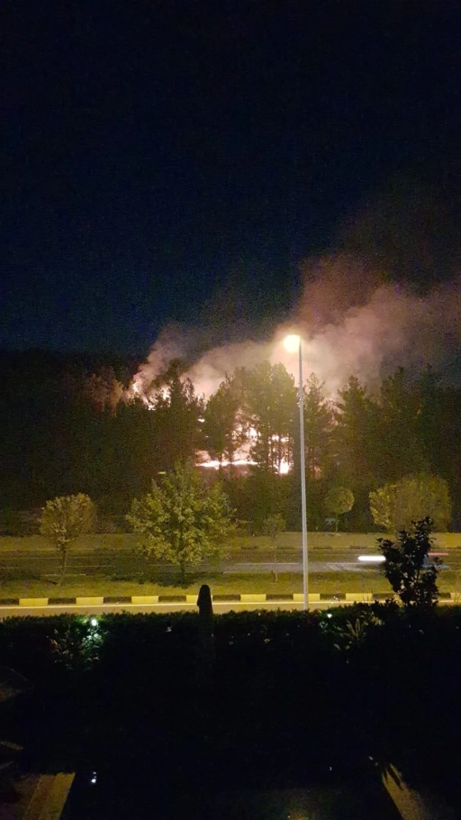 Gaziantep Burç Ormanı yanıyor