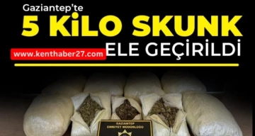 Gaziantep’te 5 kilo skunk ele geçirildi