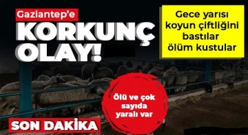 Gaziantep'te vahşet! Koyun çiftliği kan gölüne döndü!