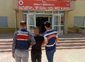 Jandarmadan aranan şahıslara operasyon: 31 gözaltı