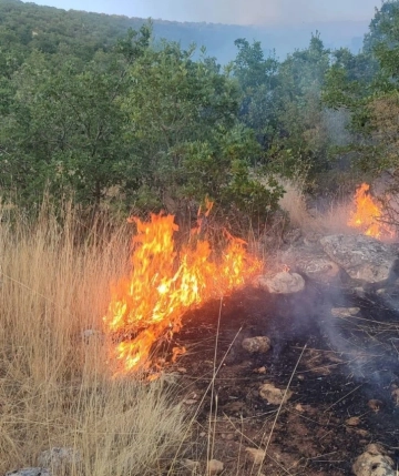 Mazıdağı ilçesinde  Orman Yangını Söndürüldü