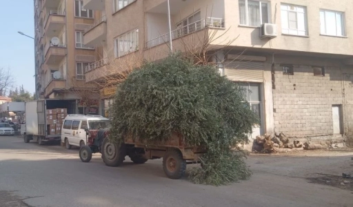 Onlar içiyor biz yakıyoruz!