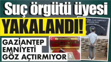 Suç örgütü üyesi Yakalandı!